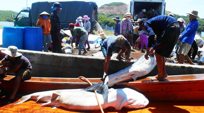 Bi tau Trung Quoc quay pha, ngu dan van thang lon hinh anh
