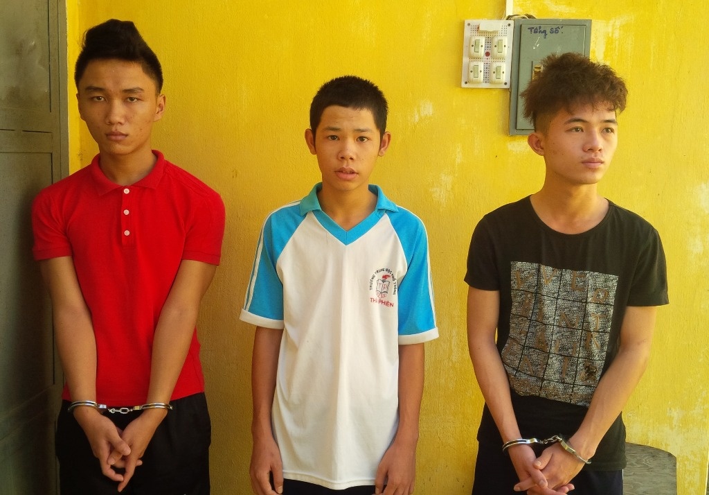 Bat 3 thanh nien di cuop giat cua du khach hinh anh