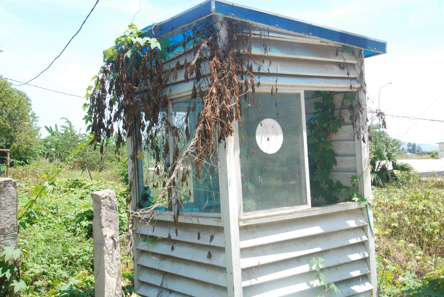 Cho nên, việc các đơn vị vận tải “ngán” đi vào bến xe Đức Long Đà Nẵng cũng là điểm đáng suy nghĩ.