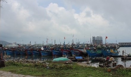 Hon 36.000 ngu dan mien Trung dang trong vung bien nguy hiem hinh anh