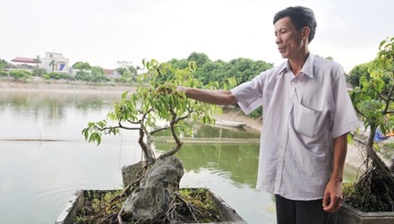 Nhung nguoi biet vuot len chinh minh hinh anh