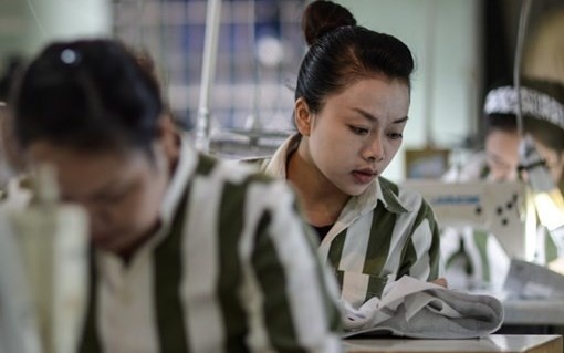 Canh lao dong phia sau canh cua nha tu hinh anh