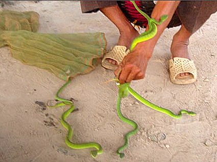 Bac tin don co ke tha ran luc duoi do de hai nguoi hinh anh