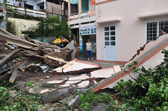 Canh tan hoang sau bao 'nu than' hinh anh