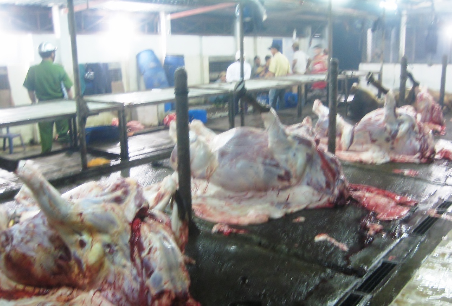 Bat qua tang lo mo bom nuoc vao bo truoc khi xe thit hinh anh