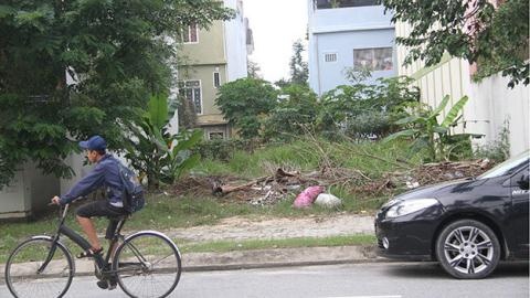 Se thu hoi hai lo dat 'chong duyet cap cho vo' hinh anh