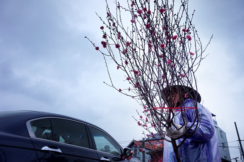 Bất chấp giá rét, những người bán đào hầu như cả ngày ở ngoài trời.