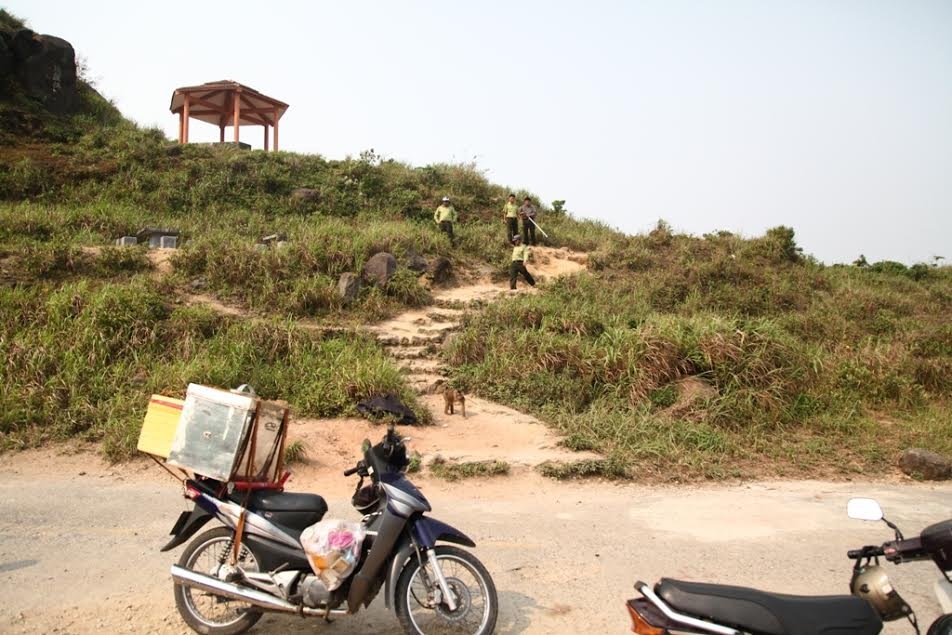 Lực lượng chức năng vây bắt khỉ trên núi Sơn Trà.