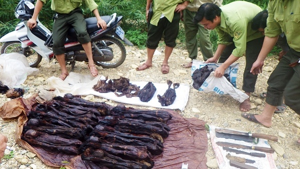 Tu Nghe An vao Da Nang dat bay vooc cha va chan nau hinh anh