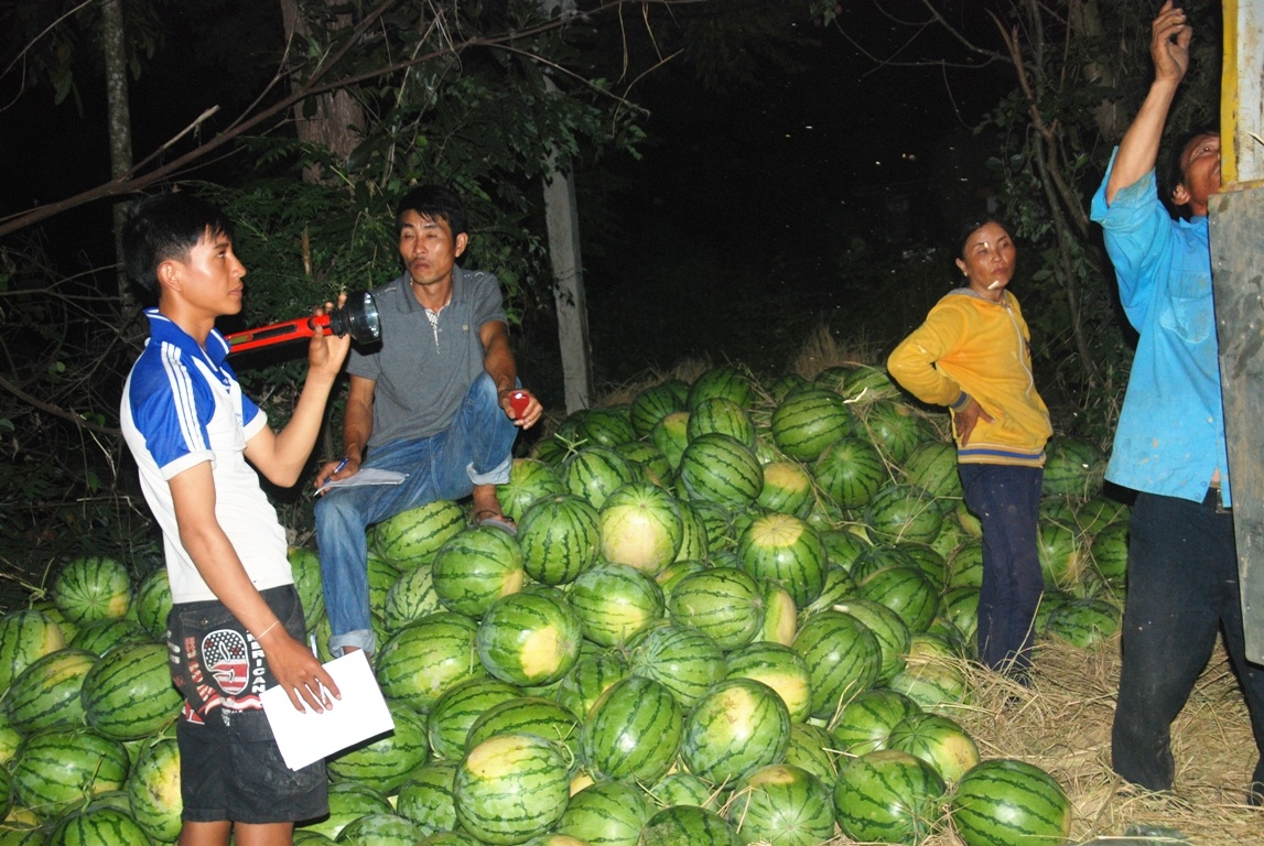 Được các tình nguyện viên mua dưa với giá cao hơn so với thương lái, hầu hết người nông dân đều vui mừng vì thoát cảnh trắng tay.