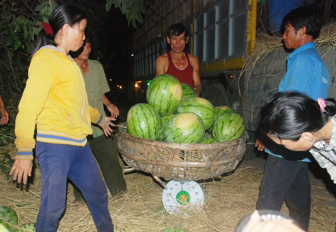 tối 17.4, hơn 30 tấn dưa hấu đã được “giải cứu”. 
