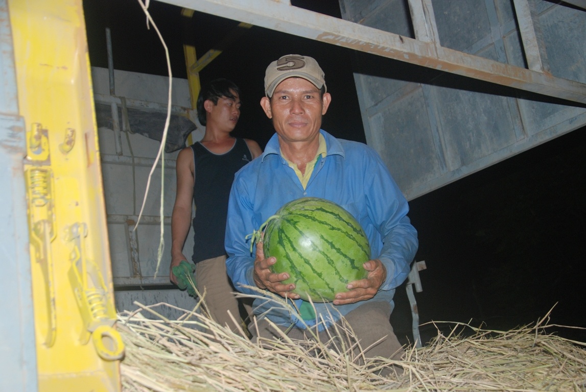 Theo phản ánh của người dân, với giá bán 2.800 - 3.000 đồng/kg dưa hấu, sau khi trừ đi các chi phí, họ vẫn bị lỗ. 