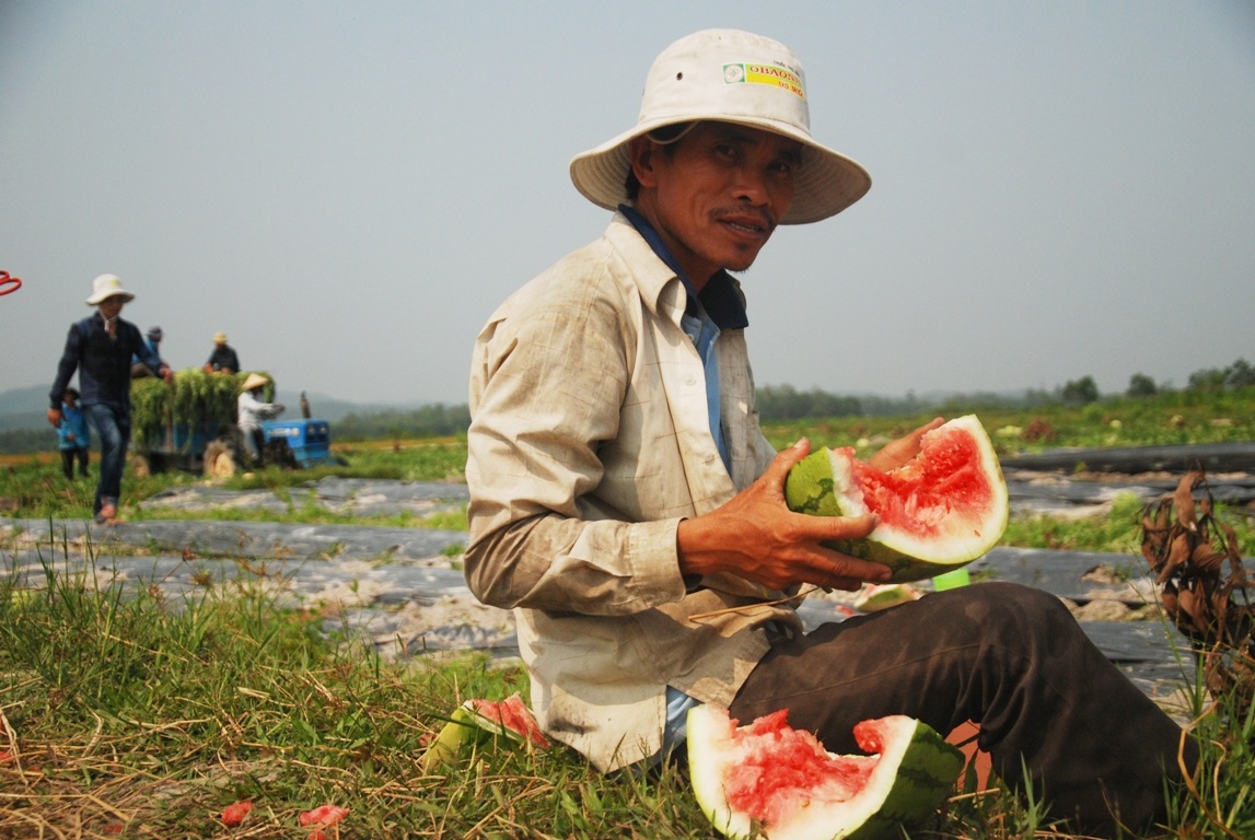 Dan Quang Ngai ban than nhin dua thoi hong, rot gia hinh anh