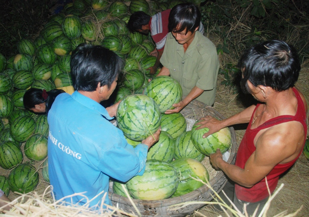Trang dem giai cuu dua hau Quang Ngai hinh anh