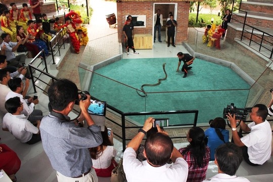 Với diện tích hơn 5.000 mét vuông và sức chứa khu biểu diễn khoảng 400 khách, Nha Trang Snake Show có các huấn luyện viên trình diễn nhiều pha diễn mạo hiểm, thú vị. 
