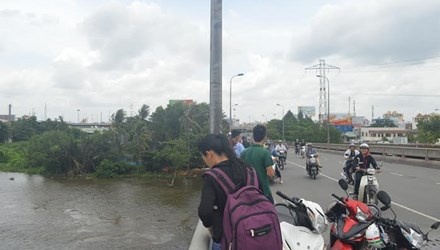 An nua hop com roi nhay cau tu tu hinh anh