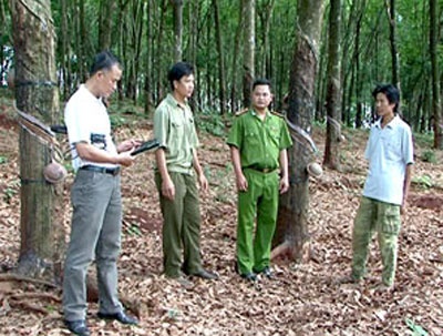 Sat hai nguoi tinh do bi cu tuyet to chuc dam cuoi hinh anh