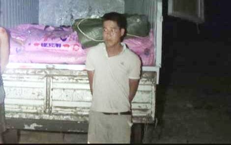 2 tan thuoc no duoc nguy trang thanh thuc an gia suc hinh anh