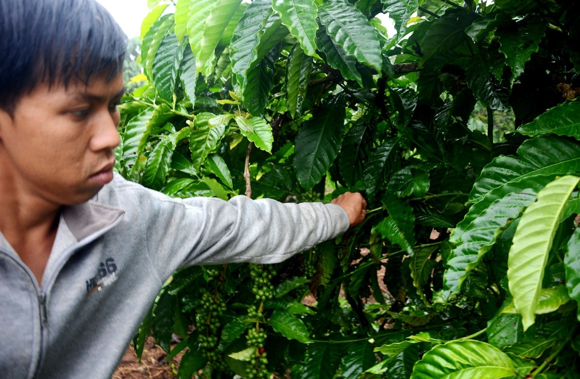 Hien truong vu tham sat kinh hoang khien 4 nguoi chet o Gia Lai hinh anh