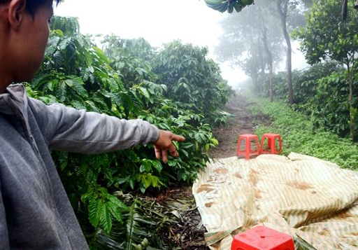 Hien truong vu sat hai 4 nguoi o Gia Lai hinh anh