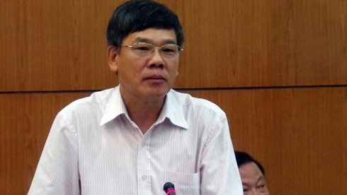Phó tổng thanh tra Chính phủ Trần Đức Lượng.