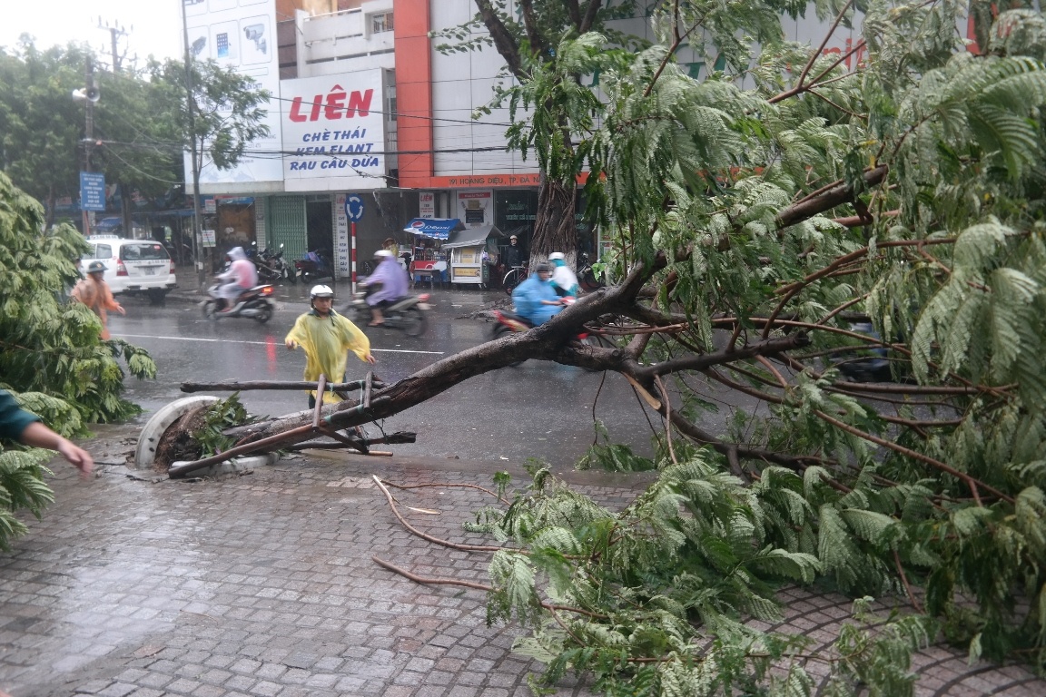 Hoc sinh Da Nang phai nghi hoc tranh bao Vam Co hinh anh