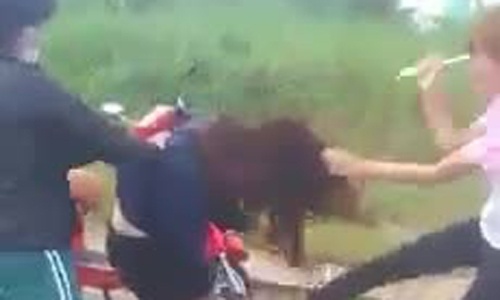 Bi thu Thanh uy Da Nang chi dao xu ly vu nu sinh danh ban hinh anh