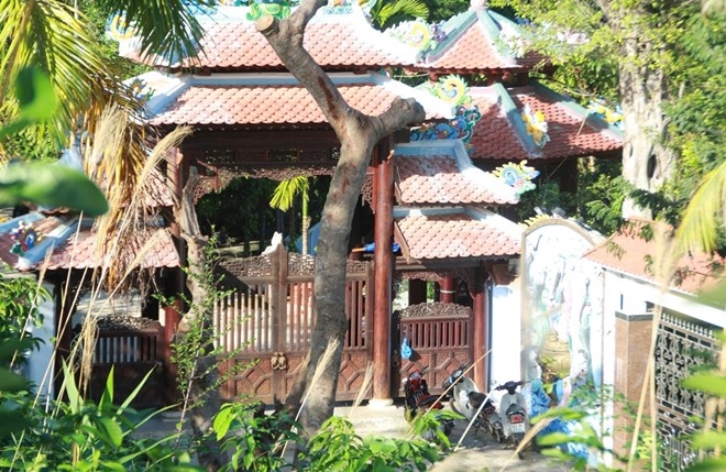 Dung thao do biet phu tren nui Hai Van la trai luat hinh anh