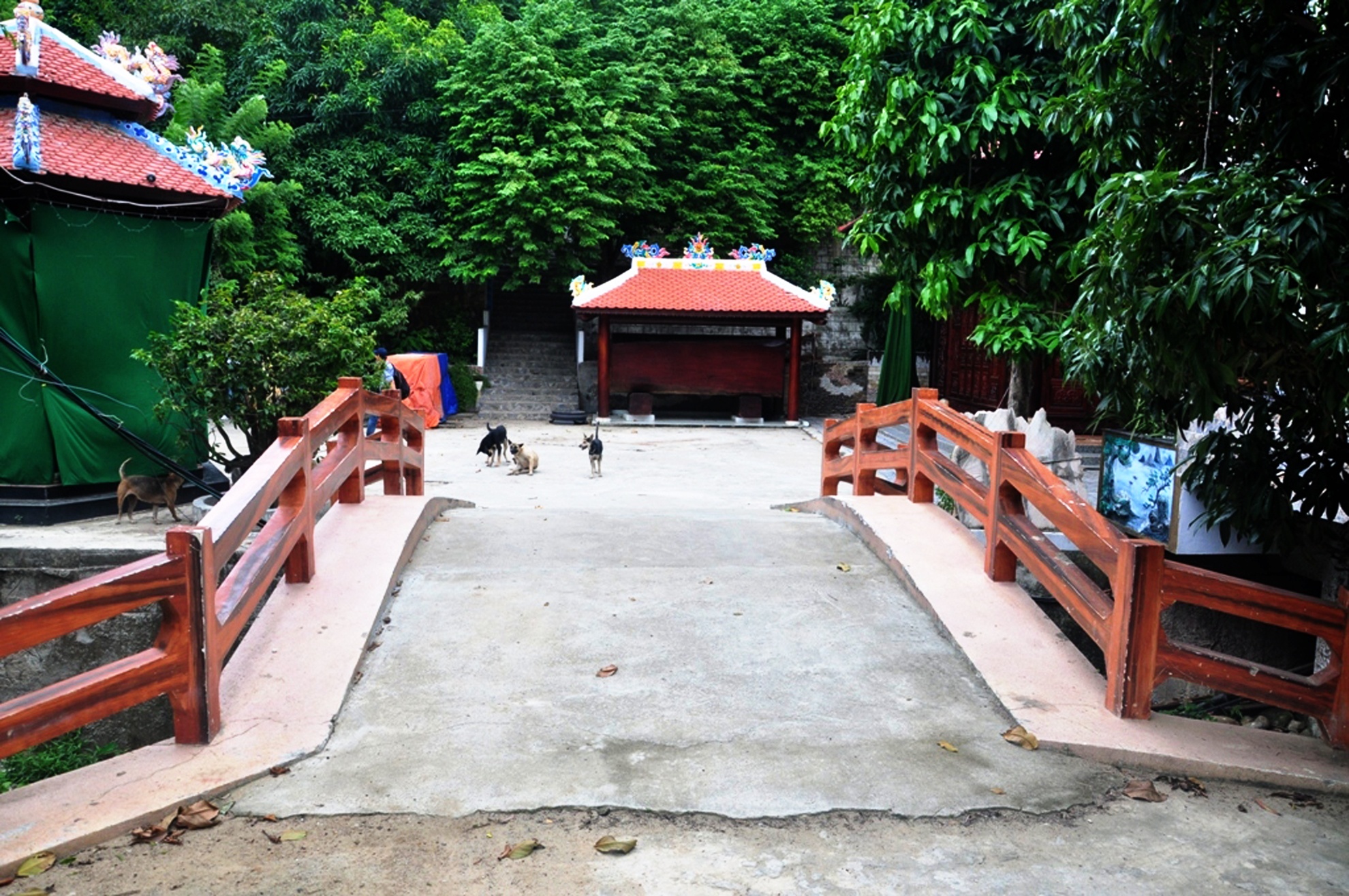 Hom nay dai gia vang se thao do biet phu 100 ty hinh anh