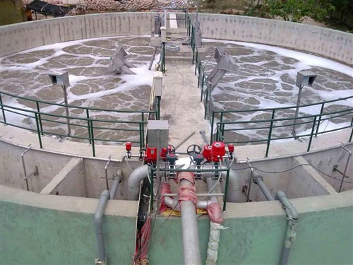 'Da Nang khong lien quan den sai pham cua SFC VN' hinh anh