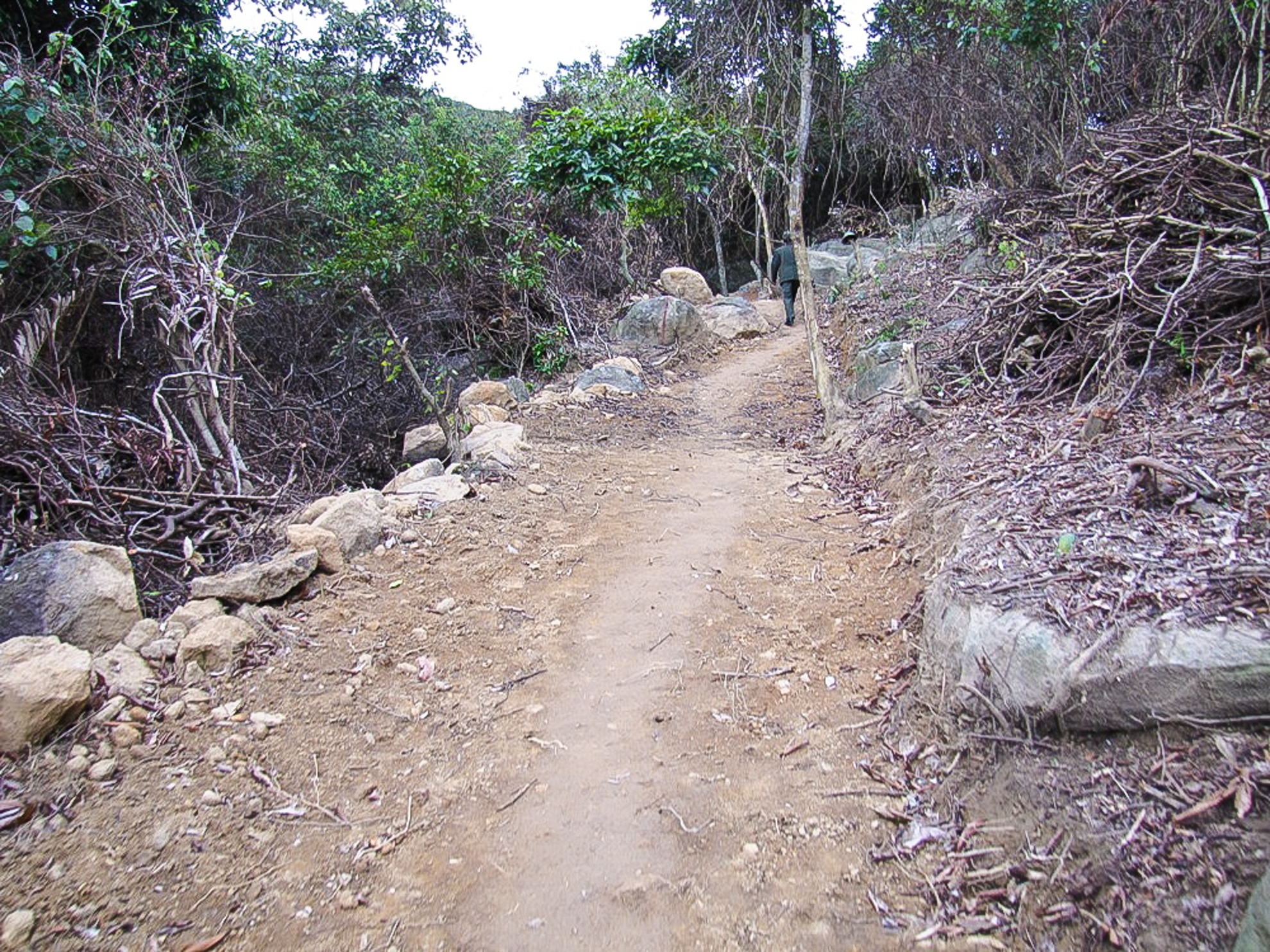 Dan pha rung nguyen sinh nhung kiem lam khong biet hinh anh