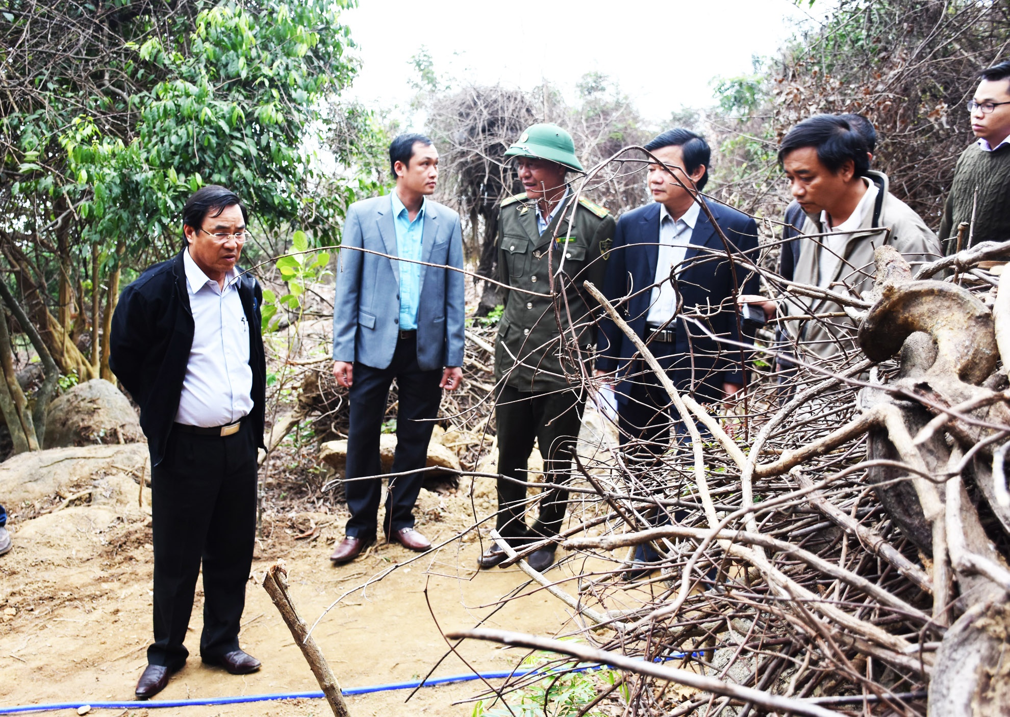 Nguoi dan pha rung cai 'tay doi' voi giam doc so hinh anh