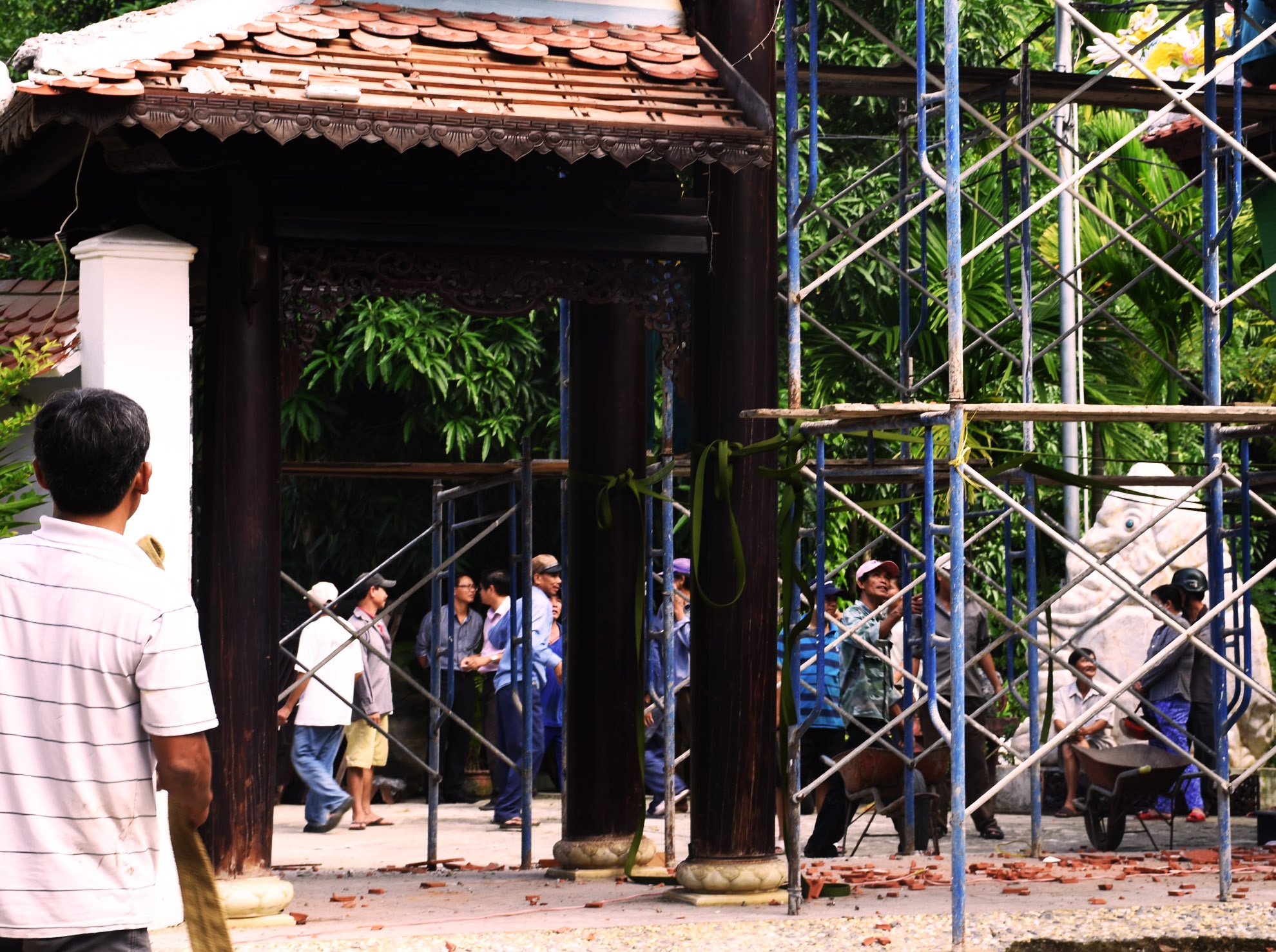 Dai gia vang cham thao do biet phu anh 2