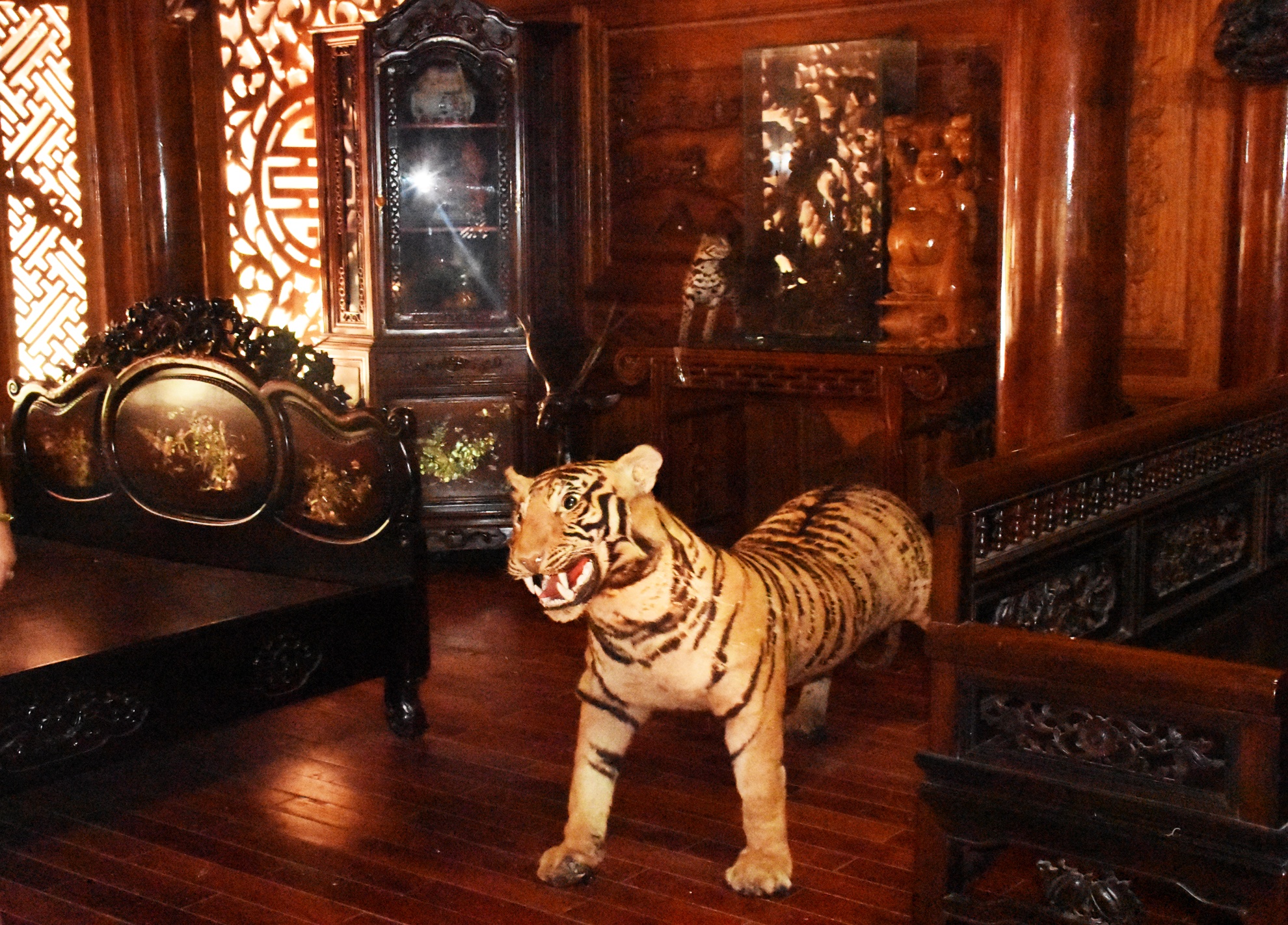 Dai gia vang cham thao do biet phu anh 10