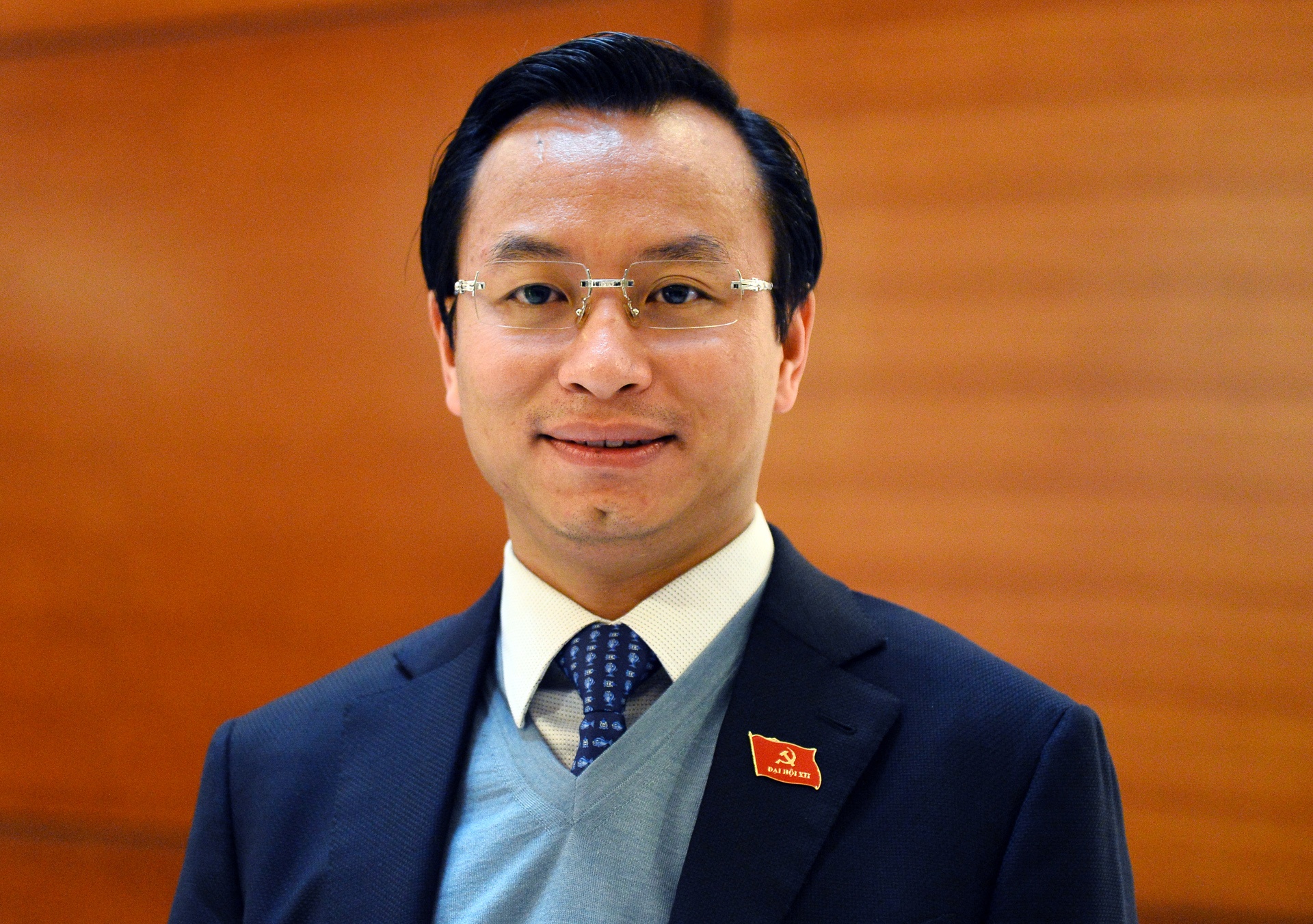 Vi sao ong Xuan Anh khong ung cu DBQH? hinh anh