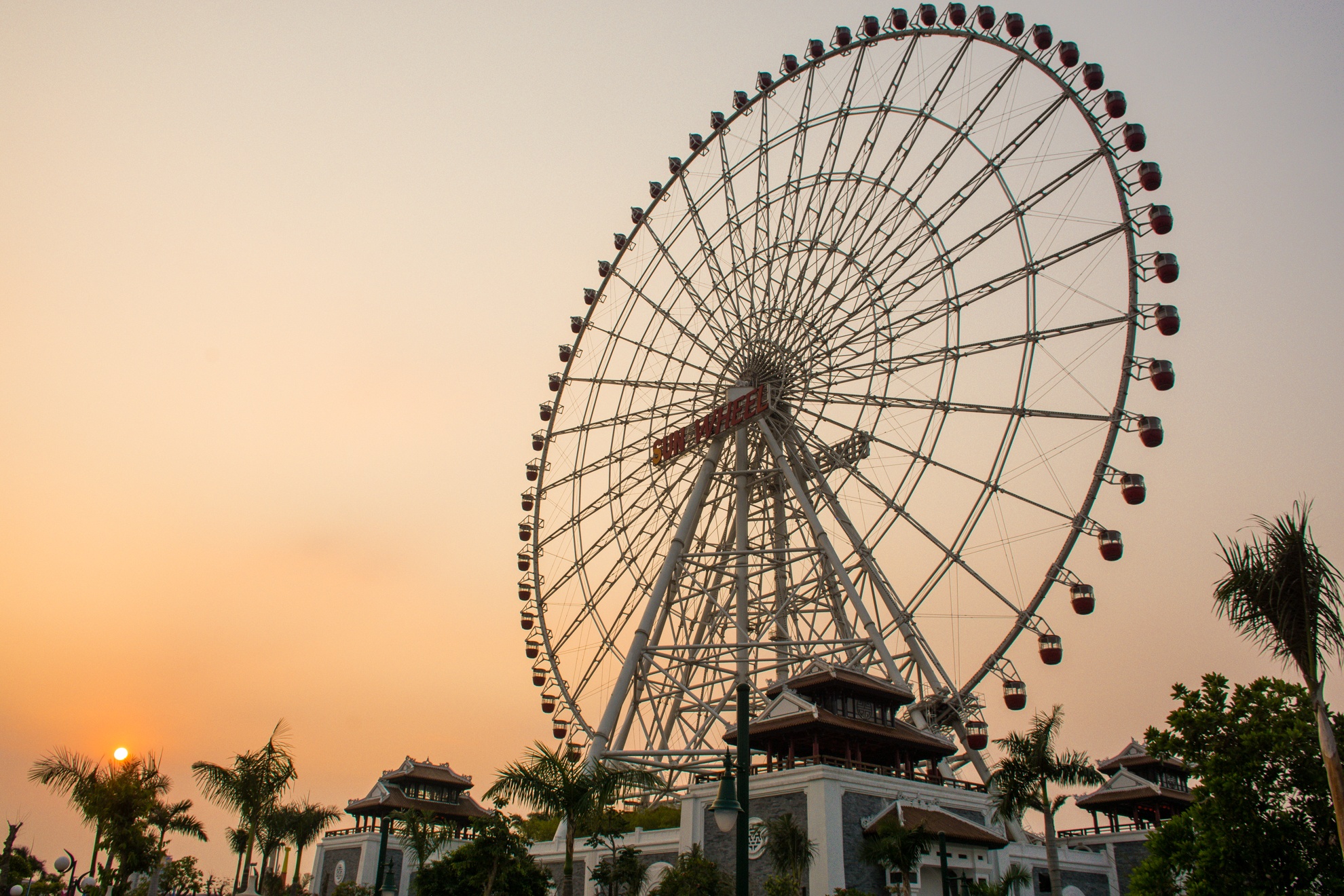 Le hoi hoa anh dao da nang anh 12