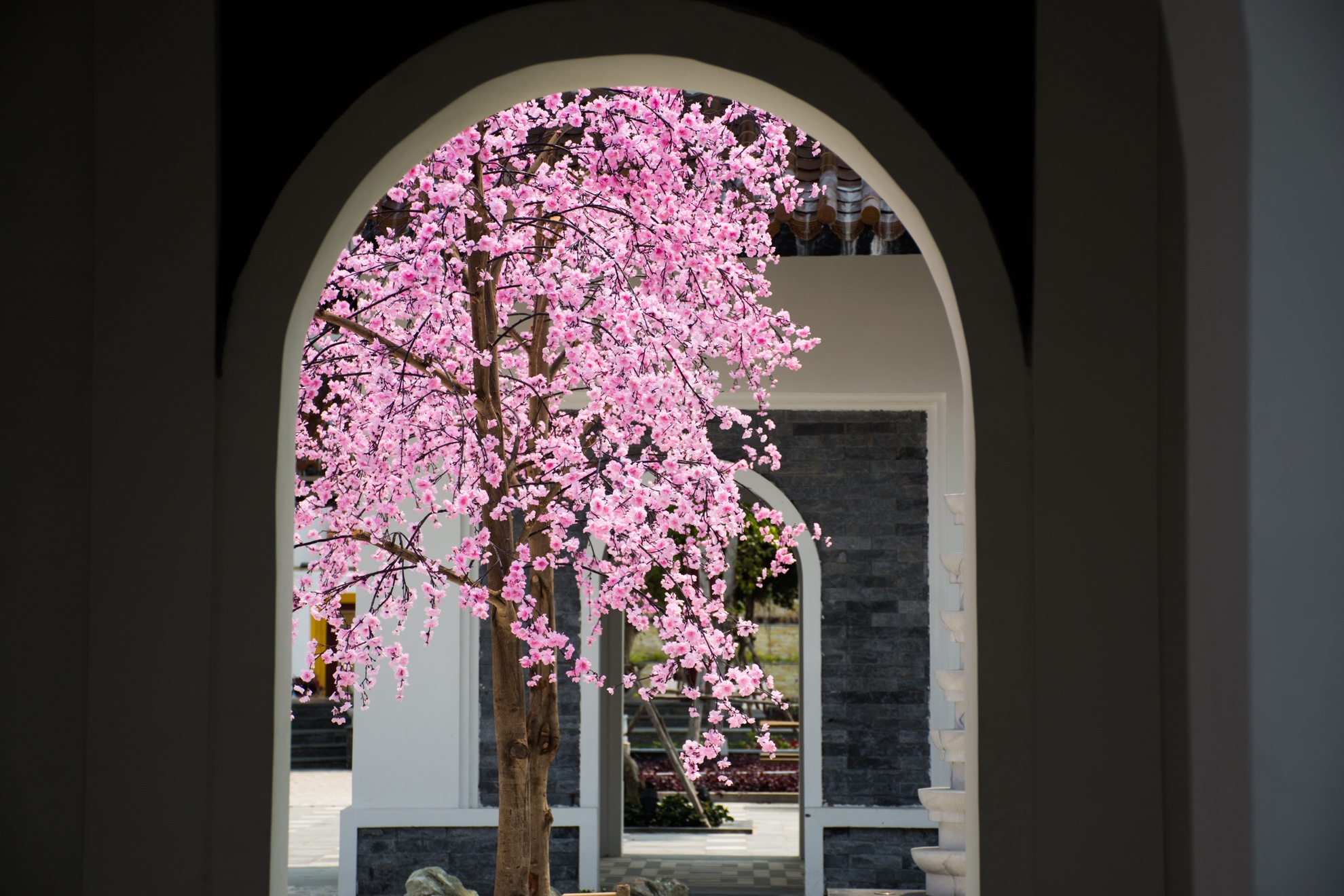Le hoi hoa anh dao da nang anh 7