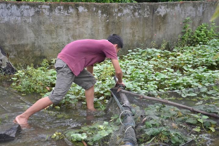tăng cường phòng chống dịch Zika ảnh 2 tang cuong phong chong dich Zika anh 2