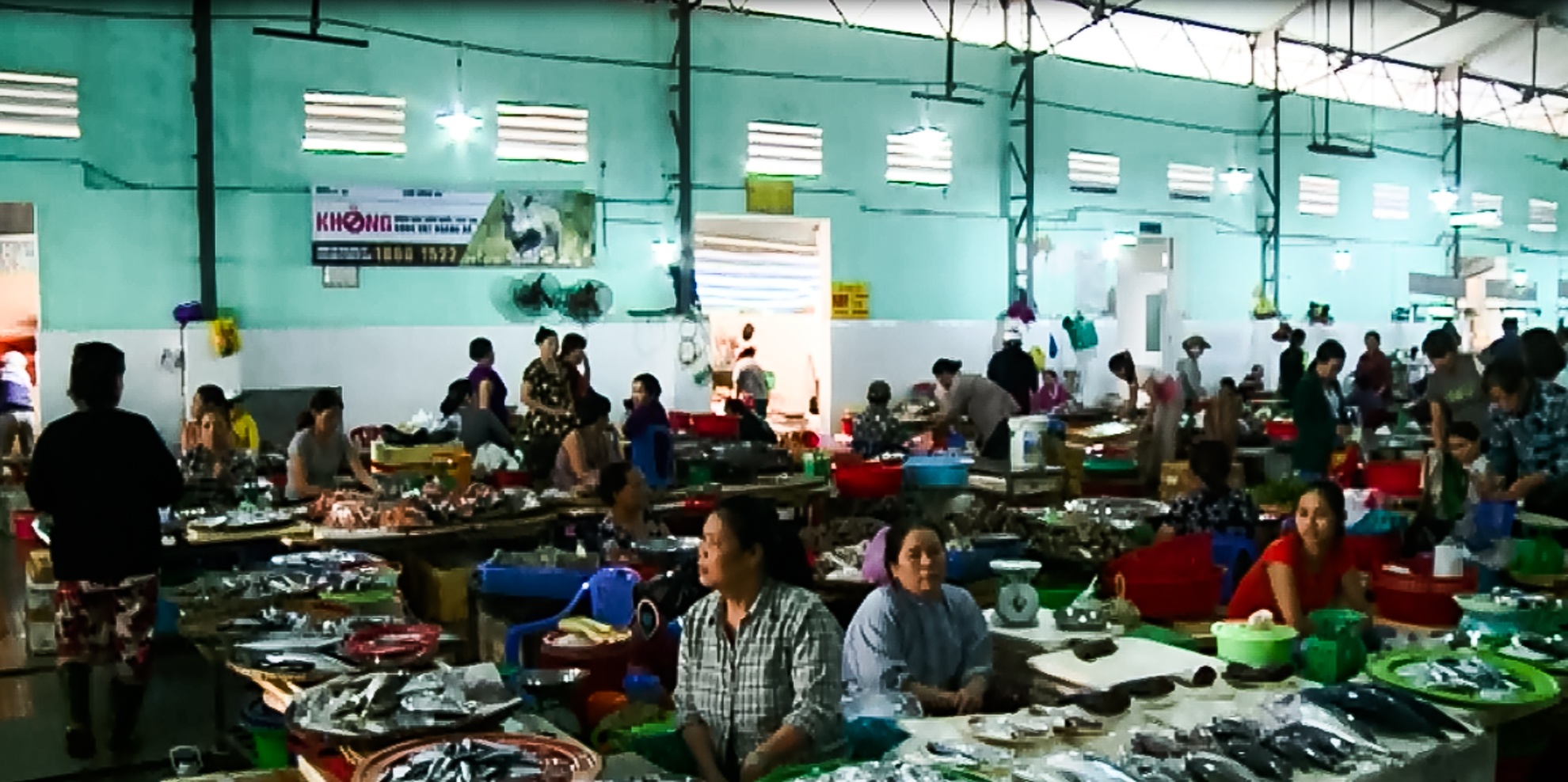 Cá chết hàng loạt ở miền Trung ảnh 2 Ca chet hang loat o mien Trung anh 2