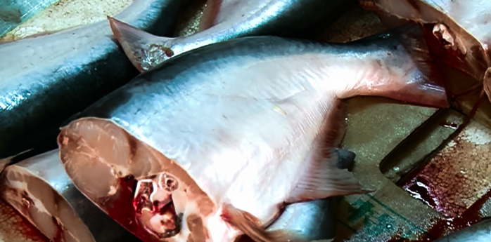 Da Nang ngan ca chet len lut vao thanh pho hinh anh