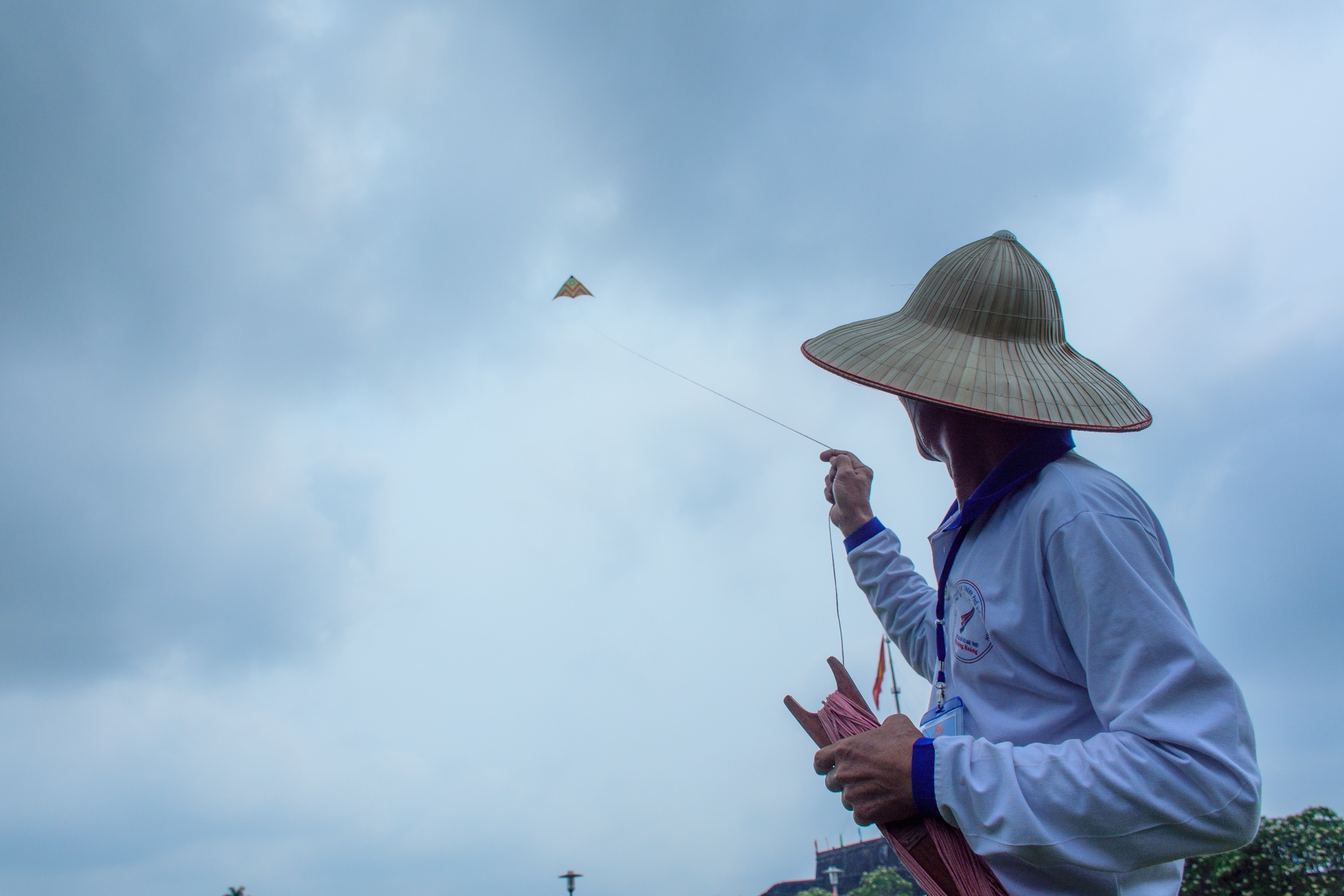 Canh dieu luot gio o Festival Hue 2016 hinh anh