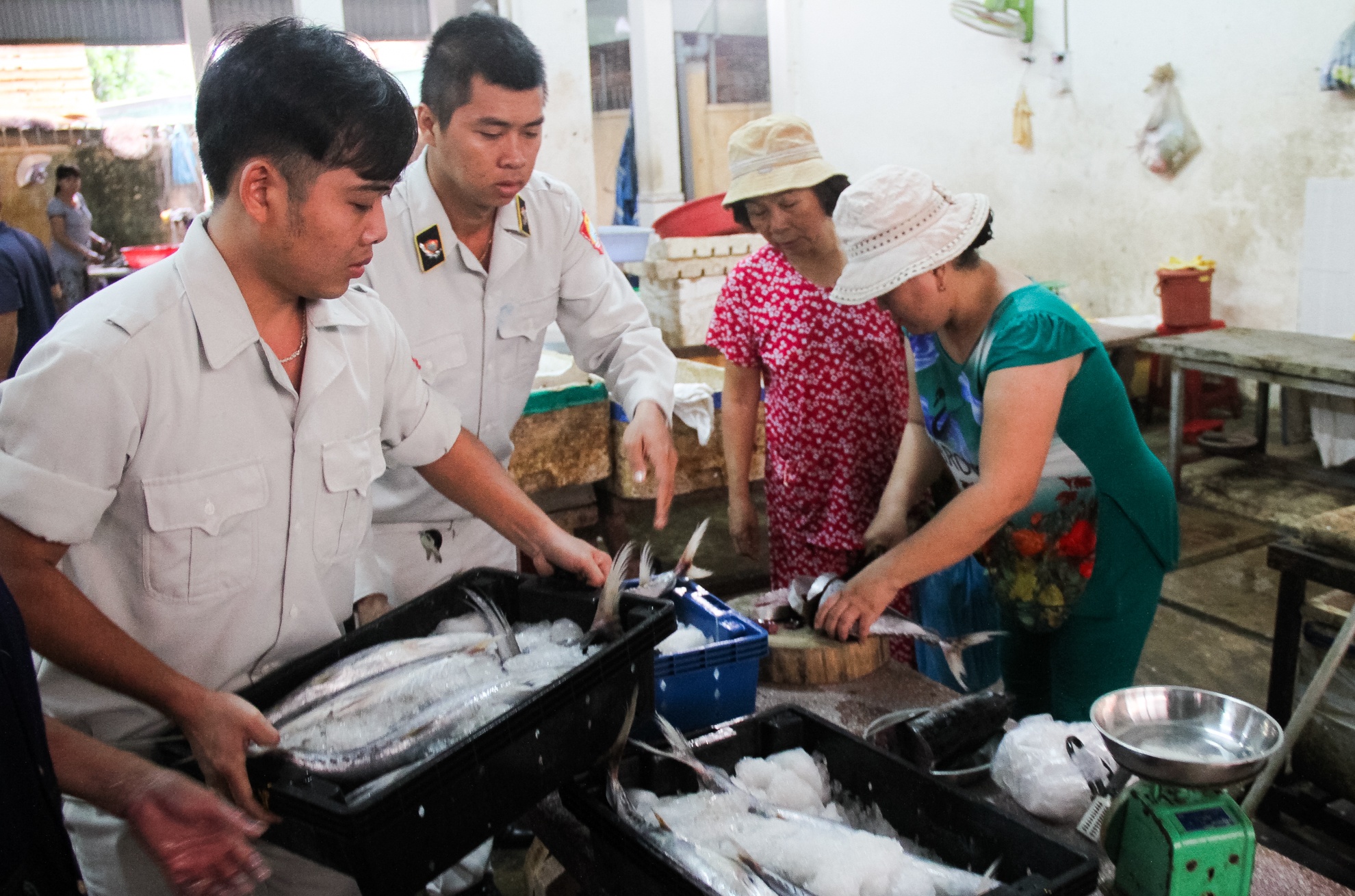 Da Nang se xu nghiem viec tuon 'ca ban' vao cho ca sach hinh anh