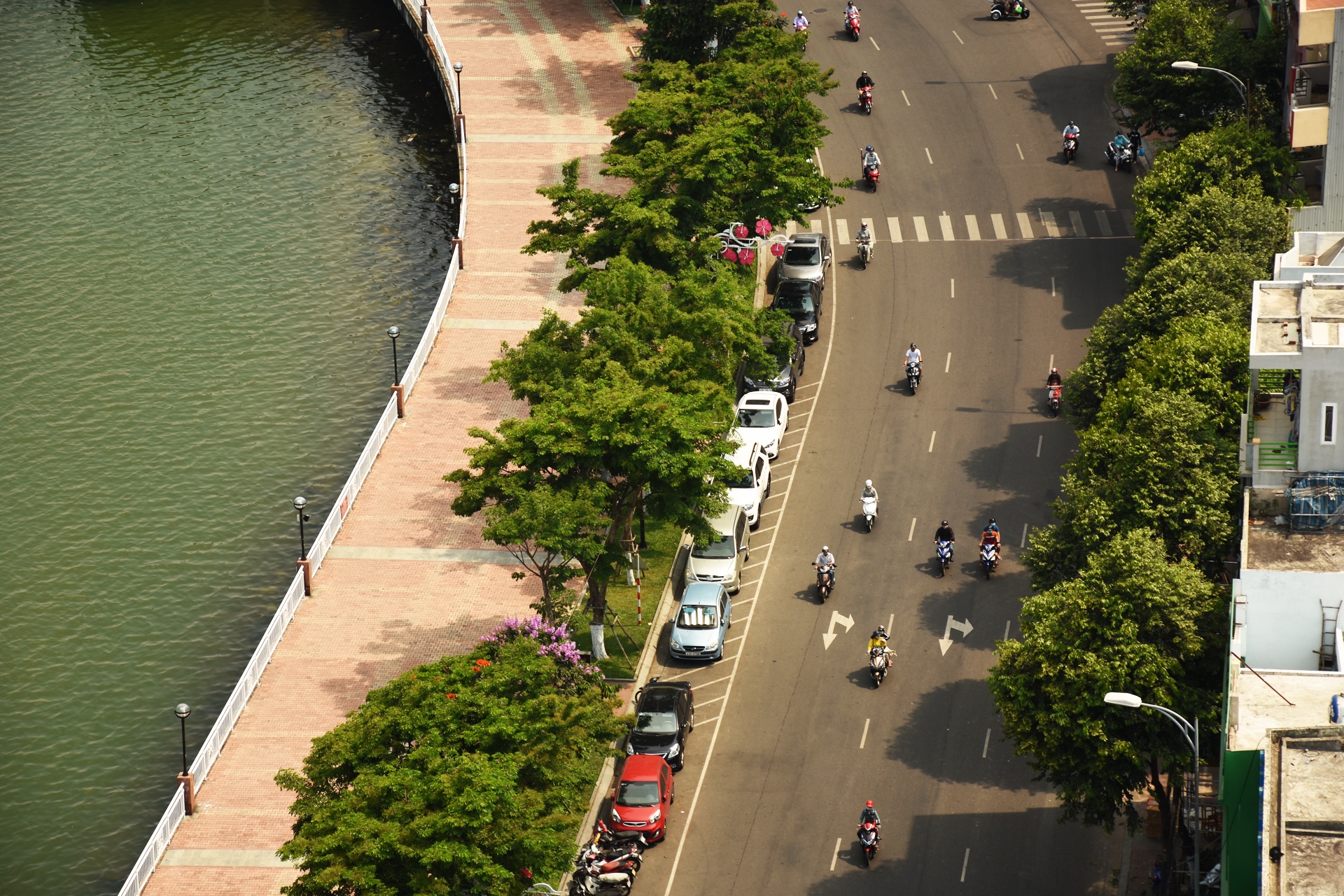 Đà Nẵng mua bảo hiểm cho cây xanh ảnh 1 Da Nang mua bao hiem cho cay xanh anh 1