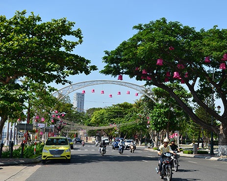 Da Nang mua bao hiem cho hang nghin cay xanh hinh anh
