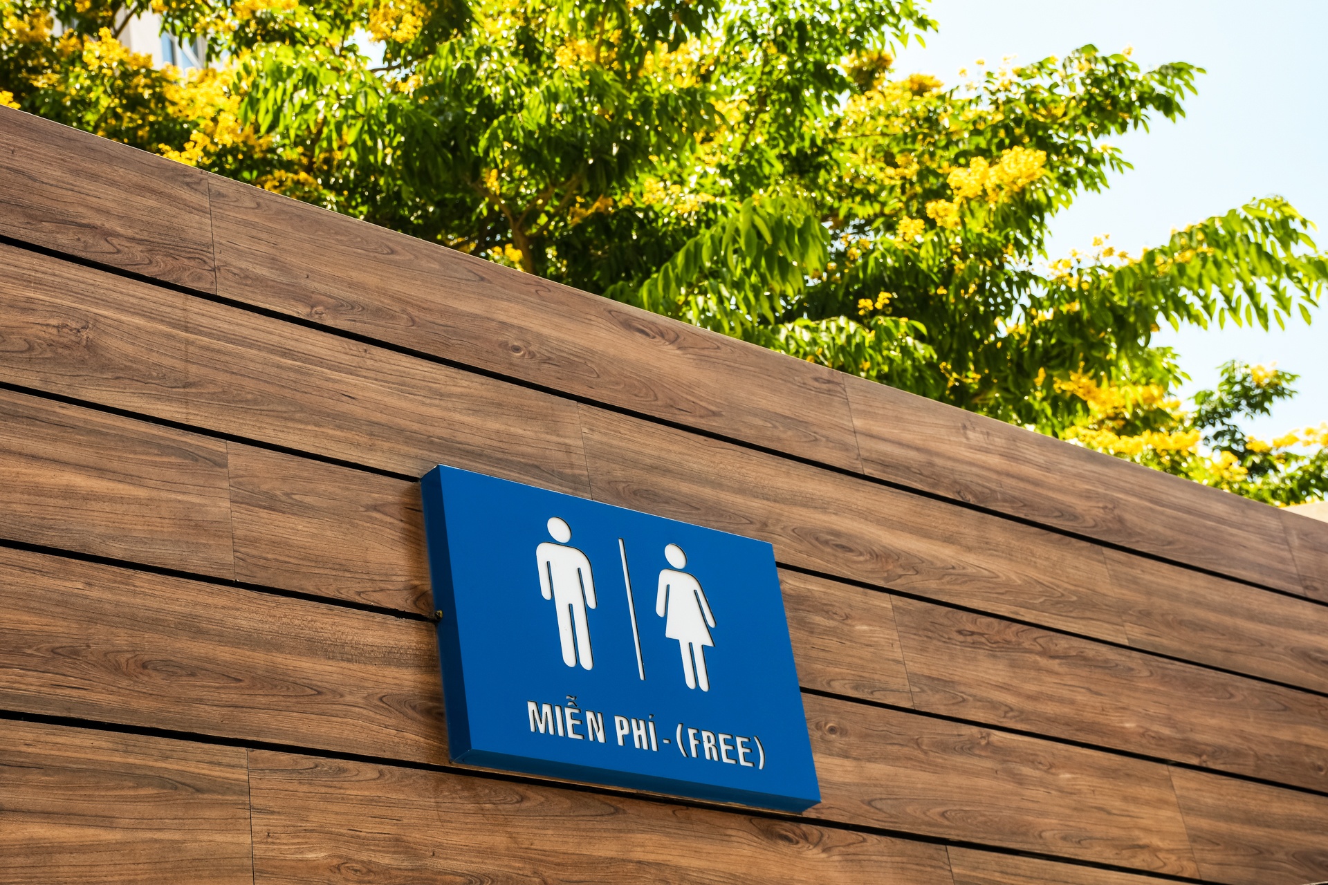 Nhà vệ sinh 5 sao ở Đà Nẵng ảnh 2 Nha ve sinh 5 sao o Da Nang anh 2