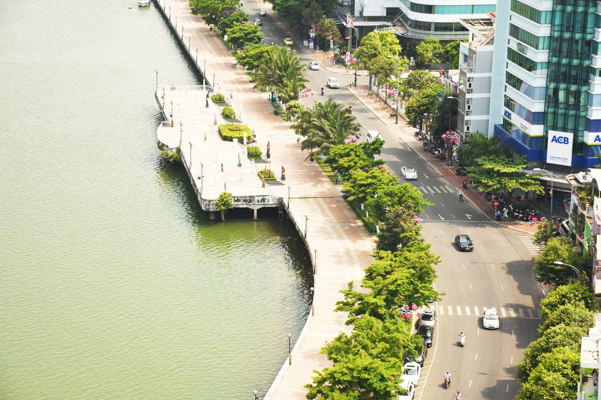 Đà Nẵng mua bảo hiểm cho cây xanh ảnh 1 Da Nang mua bao hiem cho cay xanh anh 1