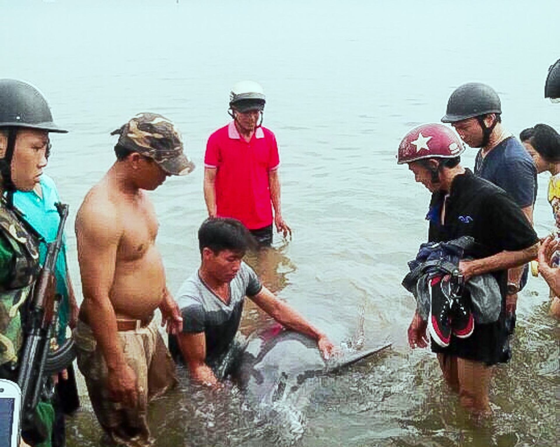 Ca map troi dat vao bien Da Nang anh 1