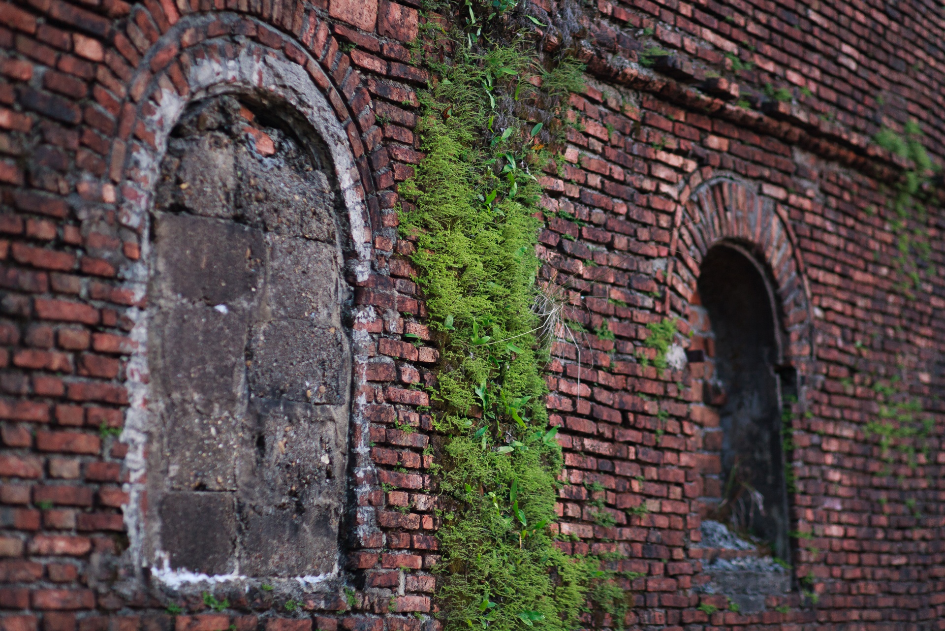 Đèo Hải Vân,   ảnh 10 Deo Hai Van, anh 10