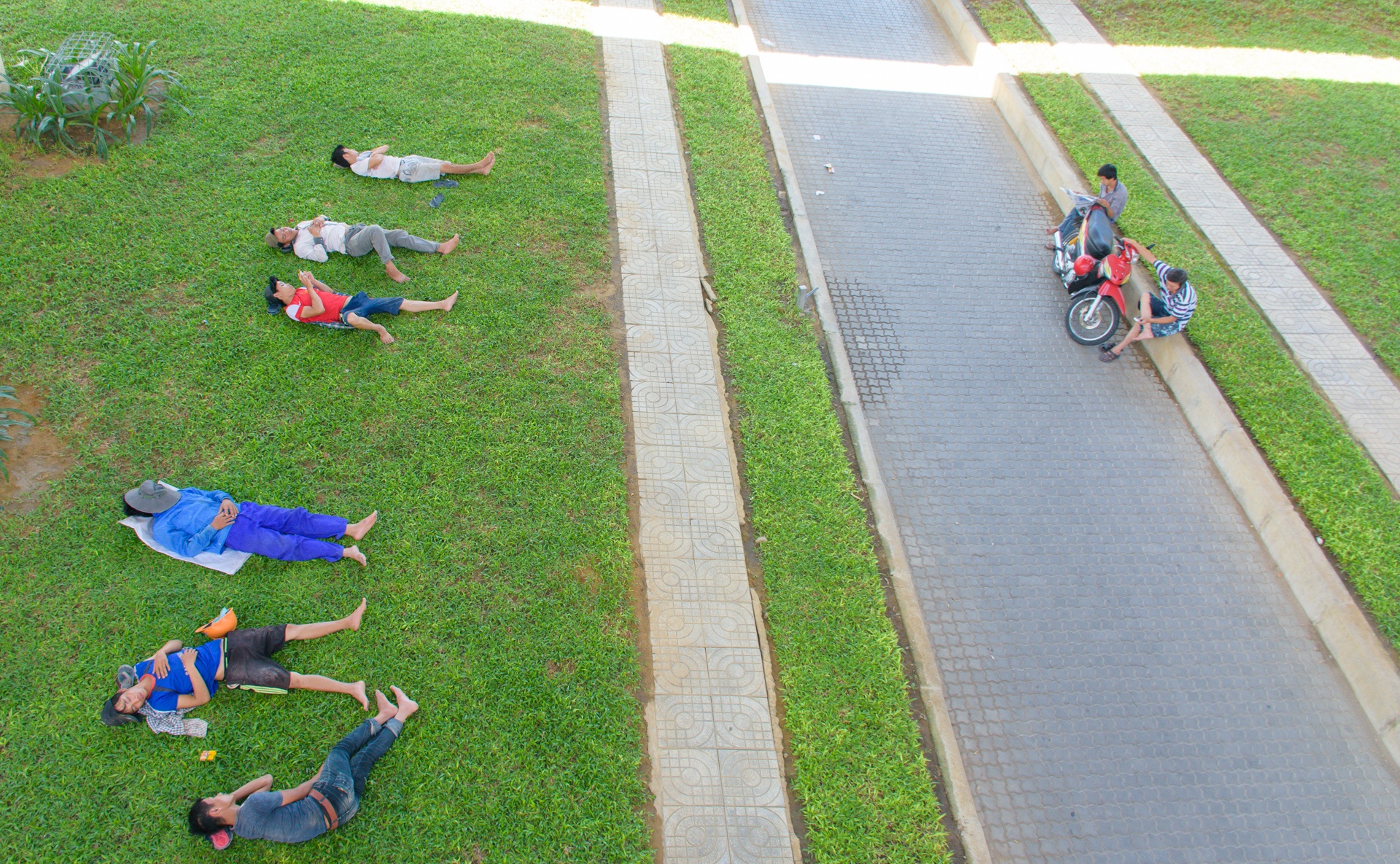 Dan Da Nang xuong gam cau, cong vien tron nong 37 do C hinh anh