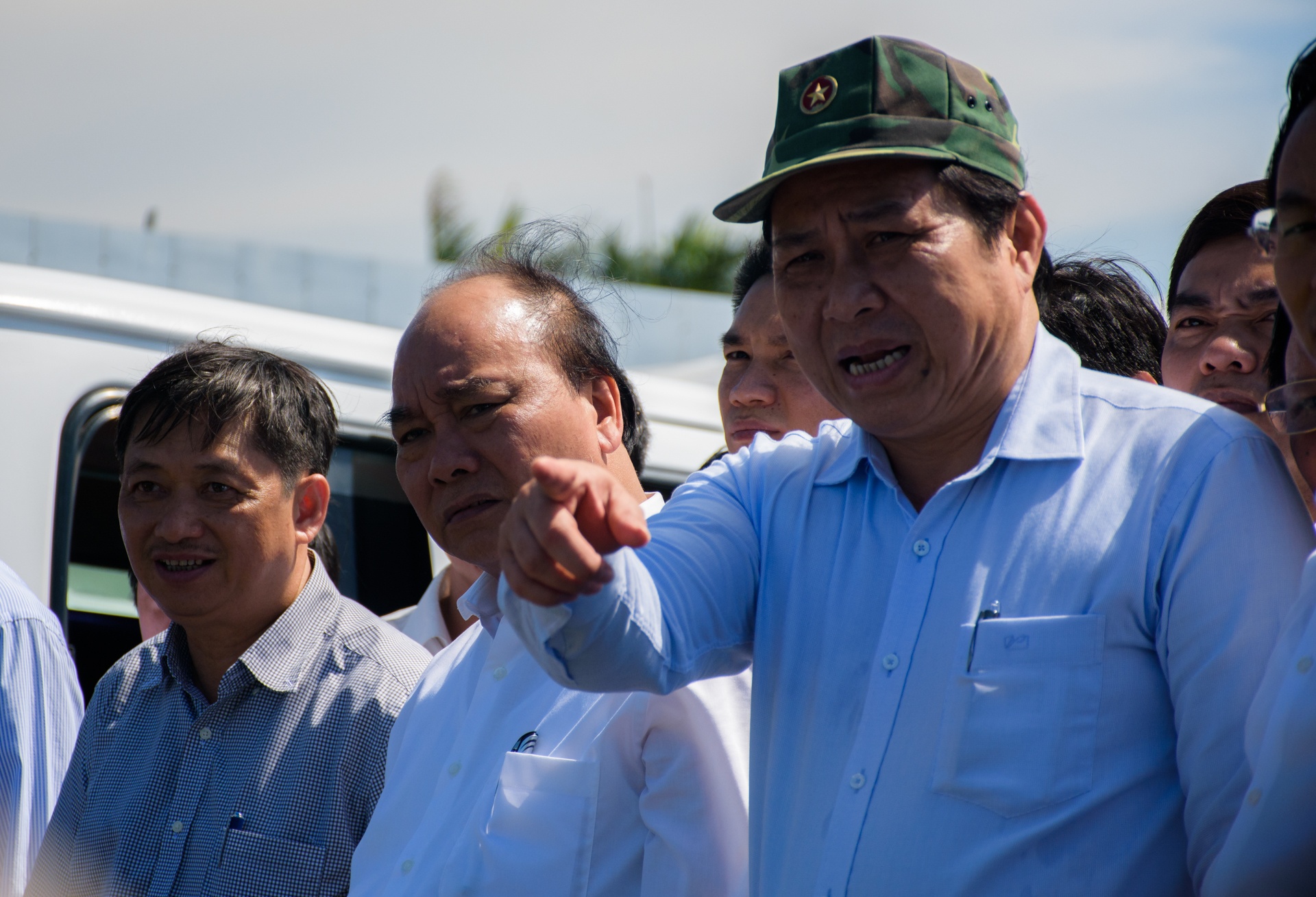chim tau du lich o Da Nang anh 2